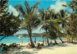 Antilles - Sous Les Cocotiers - CPM - Voir Scans Recto-Verso - Altri & Non Classificati