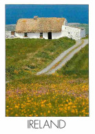 Irlande - A Typical Irish Cottage - Une Traditionnelle Chaumière Irlandaise - CPM - Voir Scans Recto-Verso - Other