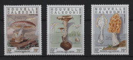 New Caledonia - 1998 Mushrooms MNH__(TH-24371) - Unused Stamps