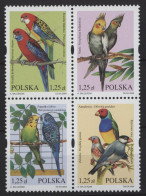 Poland - 2004 Exotic Birds Block Of Four MNH__(TH-27238) - Blokken & Velletjes