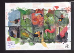 Nederland NVPH 2024 Vel Beleef De Natuur Caribisch Nederland Bonaire 2024 * POSTFRIS GESTEMPELD Vogels * Birds * Oiseaux - Used Stamps