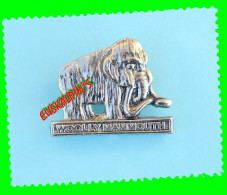 Pin's Mammouth Laineux, Wolly Mammoth, Préhistoire - Animaux