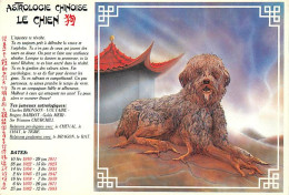 Astrologie - Astrologie Chinoise - Le Chien - Illustration F Chevrier - CPM - Carte Neuve - Voir Scans Recto-Verso - Astrologie