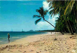 Antilles - Plage - CPM - Voir Scans Recto-Verso - Altri & Non Classificati