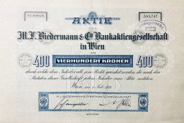 Austria - Vienne 1923 - M. L. Biedermann & Co Bankaktiengesellschaft - Schumpeter - Banco & Caja De Ahorros