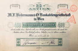 Austria - Vienne 1921 - 25 Aktien Der M. L. Biedermann & Co Bankaktiengesellschaft In Wien - Schumpeter - Banca & Assicurazione