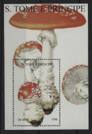 St. Thomas & Prince - 1998 Mushrooms Block (1) MNH__(TH-24398) - St. Thomas & Prince