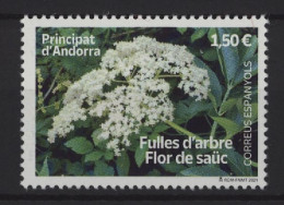 Spanish Andorra - 2021 Elderberry MNH__(TH-26732) - Ungebraucht