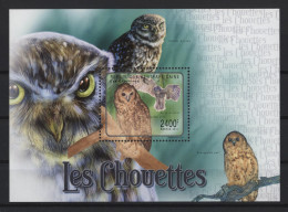 Togo - 2011 Owls Block MNH__(TH-27132) - Togo (1960-...)