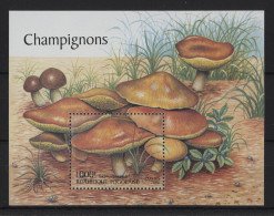 Togo - 2000 Mushrooms Block MNH__(TH-24387) - Togo (1960-...)