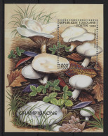 Togo - 1999 Mushrooms Block MNH__(TH-24388) - Togo (1960-...)