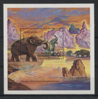 Tanzania - 1991 Elephants Block MNH__(TH-23036) - Tanzania (1964-...)