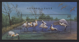 Taiwan - 2004 Black-fronted Spoonbill Block MNH__(TH-26993) - Hojas Bloque