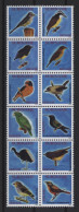 Surinam - 2011 Birds Block Of Twelve MNH__(TH-27067) - Surinam