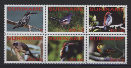 Surinam - 2008 Birds From All Over The World MNH__(TH-26999) - Surinam
