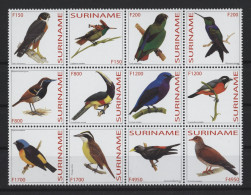 Surinam - 2003 Birds (I) Block Of Twelve MNH__(TH-27281) - Surinam