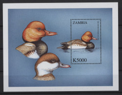 Zambia - 2000 Birds Block (2) MNH__(TH-27254) - Zambia (1965-...)