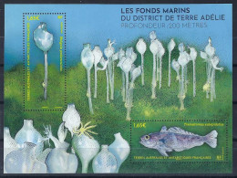 TAAF 2024 - Les Fonds Marins - Blocks & Sheetlets