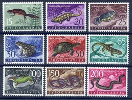 YUGOSLAVIA 1962 Amphibians And Reptiles  MNH / **.  Michel 1007-15 - Neufs