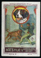 Nestlé (1920's) - II - Animaux Domestiques, Domesticated Animal - 5 - Dog, Chien - Nestlé