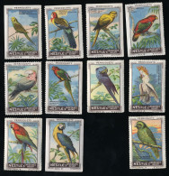 Nestlé (1920's) - III - Perroquets, Parrots - Melopsite, Parakeet, Perruche - Serie (1 Missing) - Nestlé