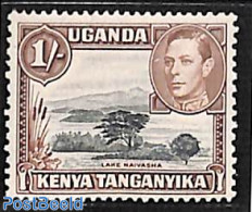 East Africa 1938 1Sh, Perf. 13:11.75, Stamp Out Of Set, Mint NH, Nature - Trees & Forests - Rotary, Lions Club