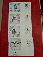 LETTRE FDC WORLD WIDE FUND 1992 CUBA OISEAUX - Autres & Non Classés