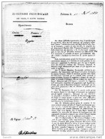 1831    PALERMO  DIREZIONE PROVINCIALE DEI RAMI E DIRITTI DIVERSI - Decreti & Leggi