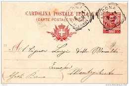 1896  CARTOLINA CON ANNULLO ANCONA - Entiers Postaux