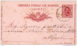 CARTOLINA CON ANNULLO TOLVE POTENZA - Interi Postali