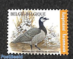 Belgium 2020 Goose 1v, Mint NH, Nature - Birds - Nuovi