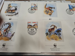 LETTRE FDC WORLD WIDE FUND 1990 ETHIOPE MOUFLONS ENDANDFRED - Ethiopie