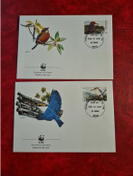 LETTRE FDC WORLD WIDE FUND 1990 MICRONESIE OISEAUX - Micronesia