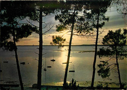 Coucher De Soleil - CPM - Voir Scans Recto-Verso - Contre La Lumière