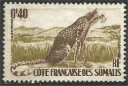 375 Cote Des Somalis Guepard Cheetah No Gum Sans Gomme (f3-CDS-46) - Felinos