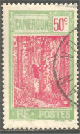 372 AEF Cameroun Arbre Caoutchouc Hévéa Rubber Tree (f3-AEF-340b) - Used Stamps