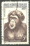 372 AOF Chimpanzé Chimp Monkey Ape (f3-AEF-333) - Singes