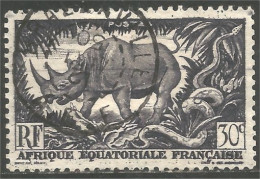 372 AEF Rhinocéros Rinoceronte Nashorn Neushoorn (f3-AEF-243) - Rhinoceros