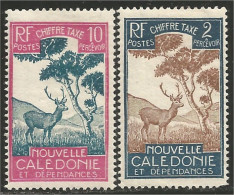 383 Nouvelle Calédonie Chevreuil Deer Cervo Hirsch MH * Neuf (f3-NC-65) - Gibier