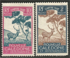 383 Nouvelle Calédonie Chevreuil Deer Cervo Hirsch MH * Neuf (f3-NC-65) - Game
