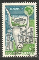 382 Madagascar Agriculture Vache Boeuf Beef Cow Kuh Vaca Scout Scoutisme (f3-MDG-45) - Landbouw