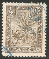 382 Madagascar 1903 Zebu Arbre Voyageur Traveller Tree (f3-MDG-38) - Usati