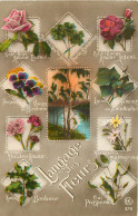 LANGAGE Des Timbres / * 516 44 - Stamps (pictures)