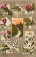 LANGAGE Des Timbres / * 516 45 - Stamps (pictures)