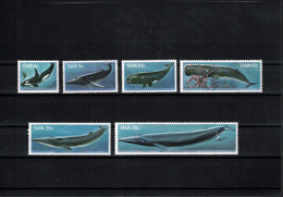 South West Africa 1980 Whales Set Postfrisch / MNH - Walvissen