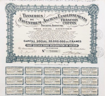 Tanneries De Saventhem - Anciens Etablissements Francois Copping - Andere & Zonder Classificatie