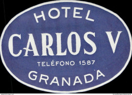 Bh92 Etichetta Da Bagaglio Hotel Carlos V Granada Spagna Spain - Otros & Sin Clasificación