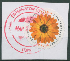 USA 2022 Blume Kapkörbchen 5907 Gestempelt, Briefstück - Used Stamps