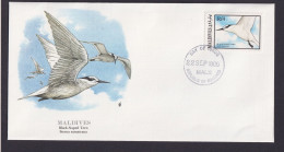 Malediven Südasien Fauna Vögel Seeschwalben Schöner Künstler Brief - Maldives (1965-...)