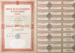 Compagnie Des Eaux Et Electricite De L'Ouest - Africain E. E. O. A.5.000 Francs + Coupons - Autres & Non Classés